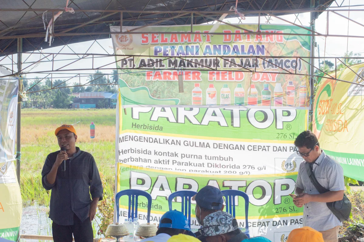 Farm Field Day, Pinrang - Sulawesi